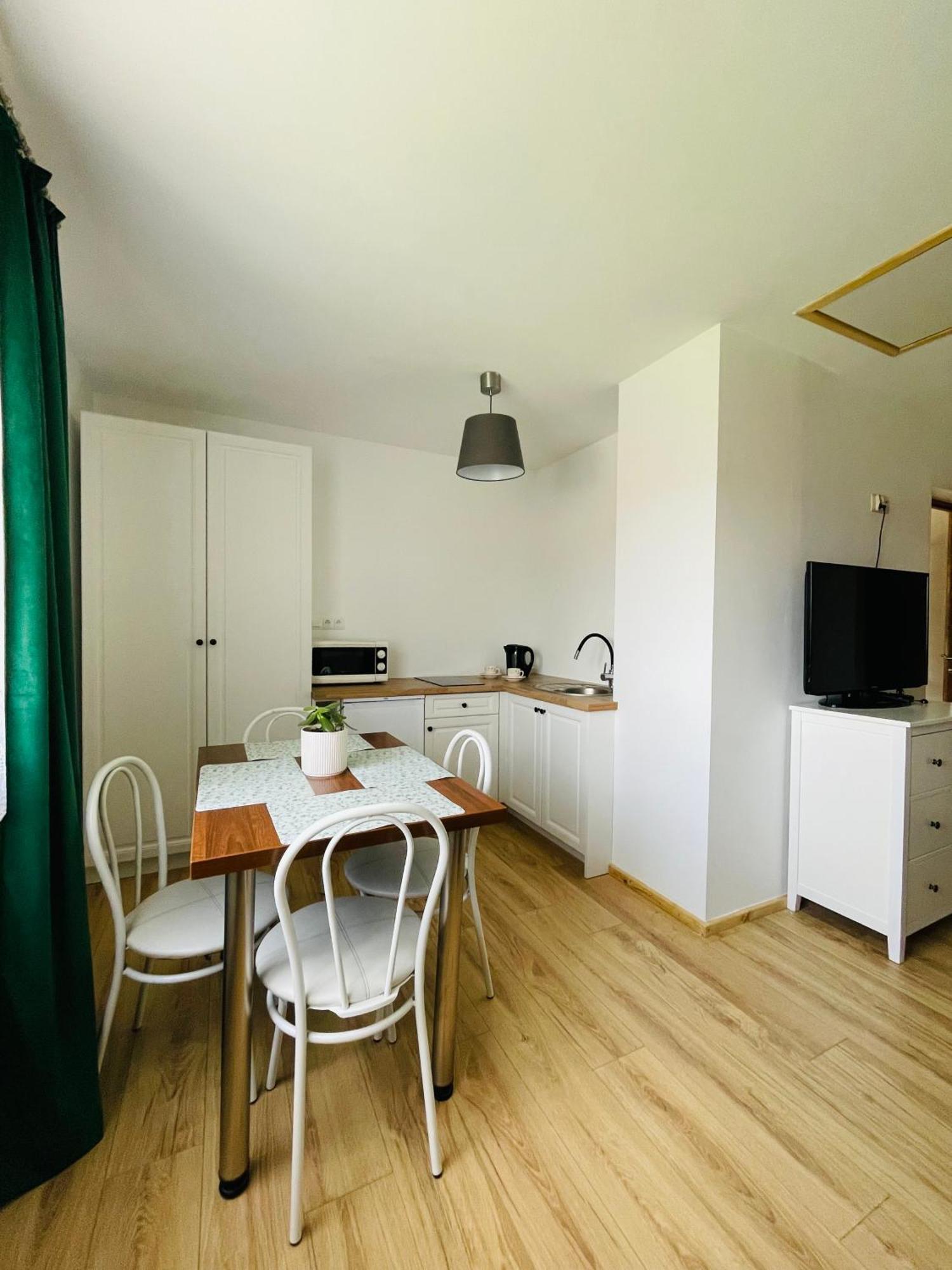 Apartamenty U Ptaszka 扎科帕内 外观 照片